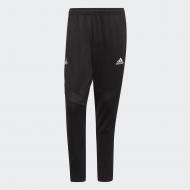 Брюки Adidas TAN TR PANT DT9876 р. S черный