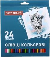 Карандаши цветные пластик 24 шт. Nota Bene