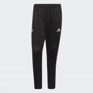 Брюки Adidas TAN TR PANT DT9876 р. 2XL черный