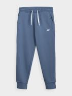 Брюки 4F NOSDJ-JSPDD200-32S р. 146 синий