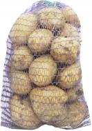 Картофель 1 кг ТМ КАЛИНІВКА-ПРЕМІУМ