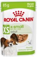 Корм вологий для собак для малих порід Royal Canin X-Small Adult Gravy 85 г