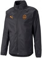 Вітрівка чоловіча літня Puma FCSD Pro Training Rain Jkt 76487202 р.2XL чорна