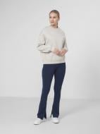 Лосины 4F WOLEGGINGS LEG013 H4Z22-LEG013-30S р.XL синий Лосины 4F WOLEGGINGS LEG013 H4Z22-LEG013-30S р.XL синий