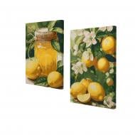 Набор для росписи по номерам ArtBooks Лимончелло ITR-149