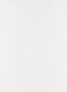 Фасад для кухни Грейд белый глянец 920x446 Топ