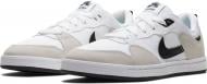 Кроссовки мужские демисезонные Nike SB ALLEYOOP CJ0882-100 р.44 белые