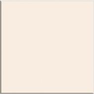 Фасад для кухни Грейд бежевый глянец 110x596 н/св NLC Топ