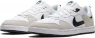 Кроссовки мужские демисезонные Nike SB ALLEYOOP CJ0882-100 р.40,5 белые