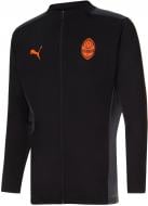 Куртка мужская Puma FCSD Training Jacket 76410602 р.L черная