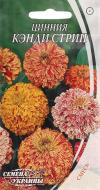 Семена Насіння України цинния Кэнди стрип 0,5 г
