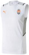 Футболка Puma FCSD Training Jersey SL 76410803 р.S белый