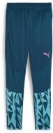Брюки Puma INDIVIDUALFINAL TRAINING PANTS 65902156 р. 2XL синий