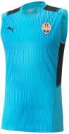 Футболка Puma FCSD Training Jersey SL 76410804 р.M голубой