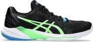 Кроссовки мужские демисезонные Asics SKY ELITE FF 2 1051A064_005 р.42,5 черные