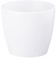 Растения, семена и горшки