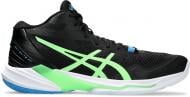 Кроссовки мужские демисезонные Asics SKY ELITE FF MT 2 1051A065_005 р.46,5 черные