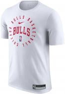 Футболка Nike CHI M NK rLGD PRTC SS TEE 24 HF1718-100 р.M белый