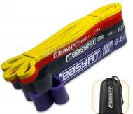 Набор EasyFit резиновые петли: 1–45 кг (4 шт.) EF-1454s мульти
