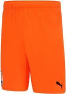 Шорты Puma FCSD Shorts Promo 76410201 р. S черный