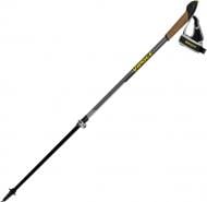 Трекінгові палиці Vipole Instructor Vario Top-Click QL K.T. Dark DLXS19 43