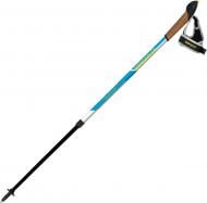 Трекинговые палки Vipole Vario UA Race 2020 Special EditionP20 439