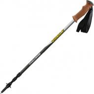 Трекінгові палиці Vipole Challenge AS Cork RH DLXS19 18