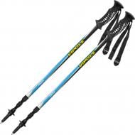 Трекинговые палки Vipole HikerS20 16
