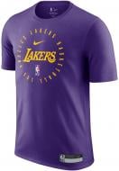 Футболка Nike LAL M NK rLGD PRTC SS TEE 24 HF0673-504 р.M фиолетовый