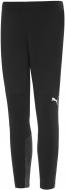 Брюки Puma FCSD Training Pants 76411302 р. XL черный