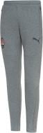 Брюки Puma FCSD Casuals Sweat Pants 76411909 р. L серый