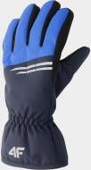 Варежки 4F GLOVES FNK M038 4FJAW22AFGLM038-33S р.M синий