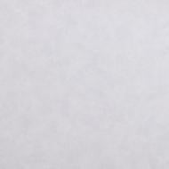 Шпалери зі спіненого вінілу Sintra Decoration UNIVERSAL 416846 0,53x10,05 м