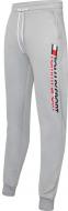 Брюки Tommy Hilfiger FLEECE HBR LOGO JOGGER S20S200189001 р. XL светло-серый