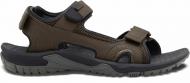 Сандалии Jack Wolfskin LAKEWOOD CRUISE SANDAL M 4019011_5719 р.44,5 коричневый