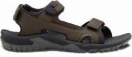 Сандалии Jack Wolfskin LAKEWOOD CRUISE SANDAL M 4019011_5719 р.47 коричневый