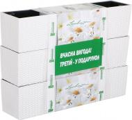 Набір Lechuza Ящик балконний Balconera Cottage 80 2 шт.+ 1 в дарунок прямокутний 12 л слонова кістка (NF15610-2шт-15610)