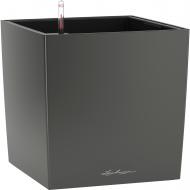 Вазон декоративный Lechuza Cube Premium квадратный 64 л антрацит (16363) Вазон декоративный Lechuza Cube Premium квадратный 64 л антрацит (16363)