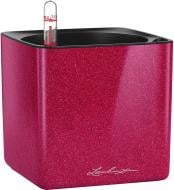 Вазон декоративный Lechuza Cube Glossy Kiss 14 квадратный 1 л вишневый (13514)