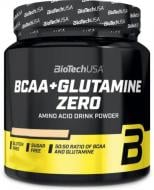 Аминокислотная смесь BioTechUSA BCAA + Glutamine Zero 480 г