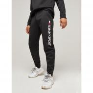 Брюки Tommy Hilfiger FLEECE HBR LOGO JOGGER S20S200189003 р. M черный