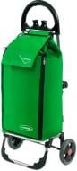 Сумка-візок Aurora Click Freezer 50 Green