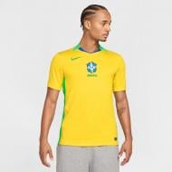 Футболка Nike CBF M NK DF STAD JSY SS HM FZ9011-718 р.XL желтый
