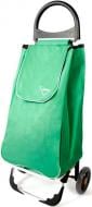 Сумка-тележка Aurora Portofino 50 Green