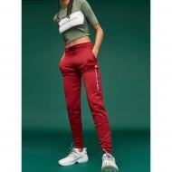 Брюки Tommy Hilfiger FLEECE JOGGER BIG LOGO S10S100289607 р. M красный