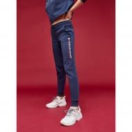 Брюки Tommy Hilfiger FLEECE JOGGER BIG LOGO S10S100289401 р. L темно-синий