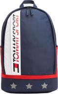 Рюкзак спортивный Tommy Hilfiger TS DYNAMICS DOMED BACKPACK AW1920 AU0AU007540GY разноцветный