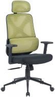 Кресло офисное Ergomix LEVEL (LY-8029H-1-BK) зеленый/черный