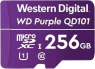 Карта памяти Western Digital microSDXC 256 ГБ UHS-I (WDD256G1P0C)