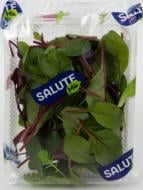 Салат Красочный TM Salute 75 г